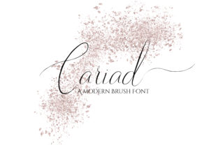 Cariad: The Signature Script Font for Handmade Products