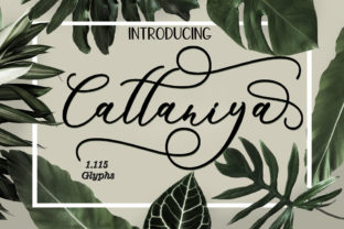 Cattaniya: Handmade Script Font for Brand Impact