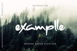 Examplle: A Designer’s Honest Take on This Display Font