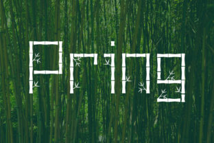 Pring: A Decorative Script That Brings Natural Rhythm to Editorial Design