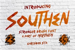 Southen Display Font: A Marketer's Tool for Bold Headlines