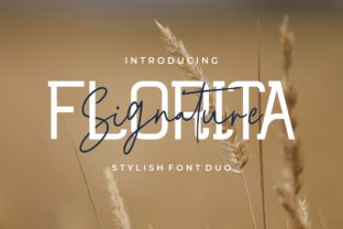 Why Florita Duo Deserves a Place in Your Font Toolkit